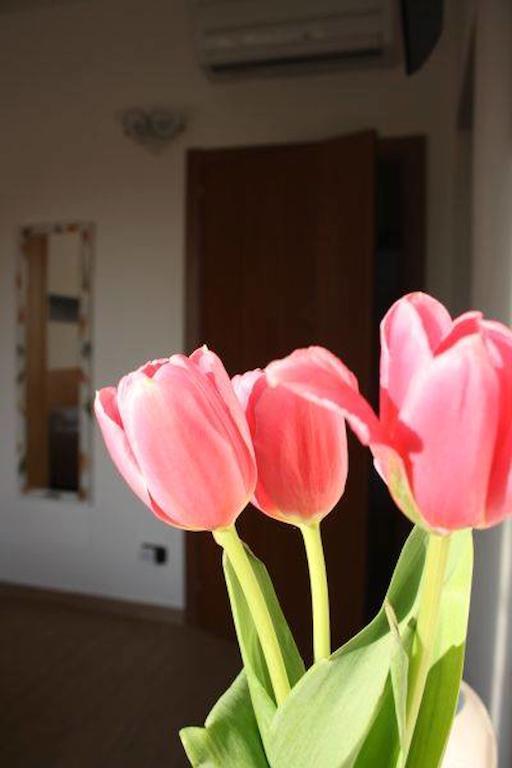 I Due Orfici Bed and Breakfast Cona  Exteriör bild