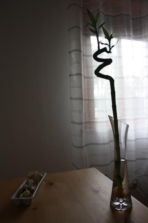 I Due Orfici Bed and Breakfast Cona  Exteriör bild